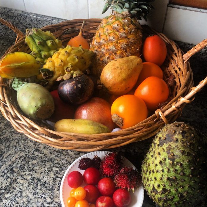 Fruits of Colombia